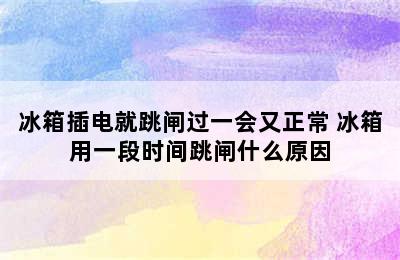 冰箱插电就跳闸过一会又正常 冰箱用一段时间跳闸什么原因